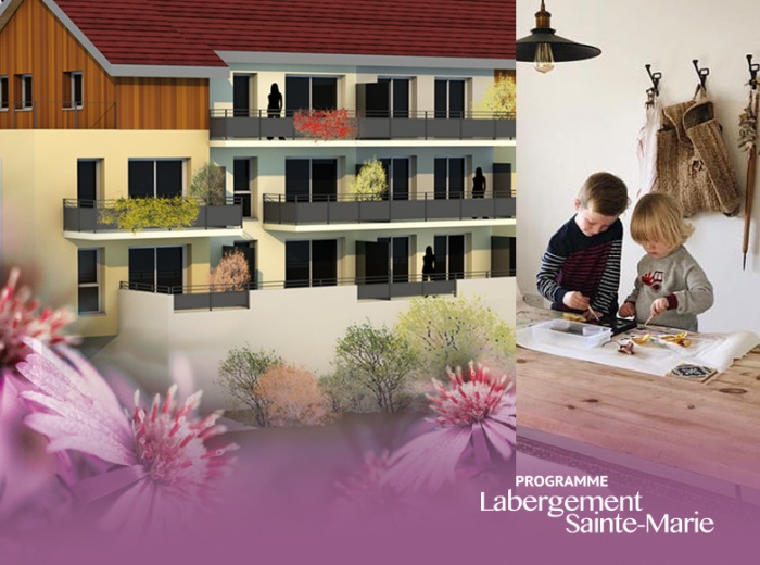 LABERGEMENT-SAINTE-MARIE 13 logements