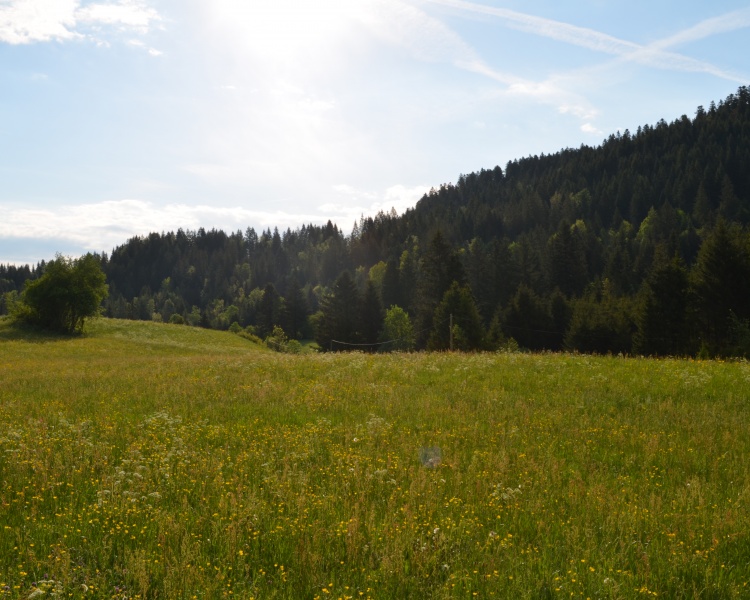 CLUSE ET MIJOUX