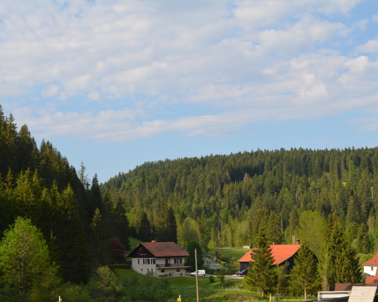 CLUSE ET MIJOUX
