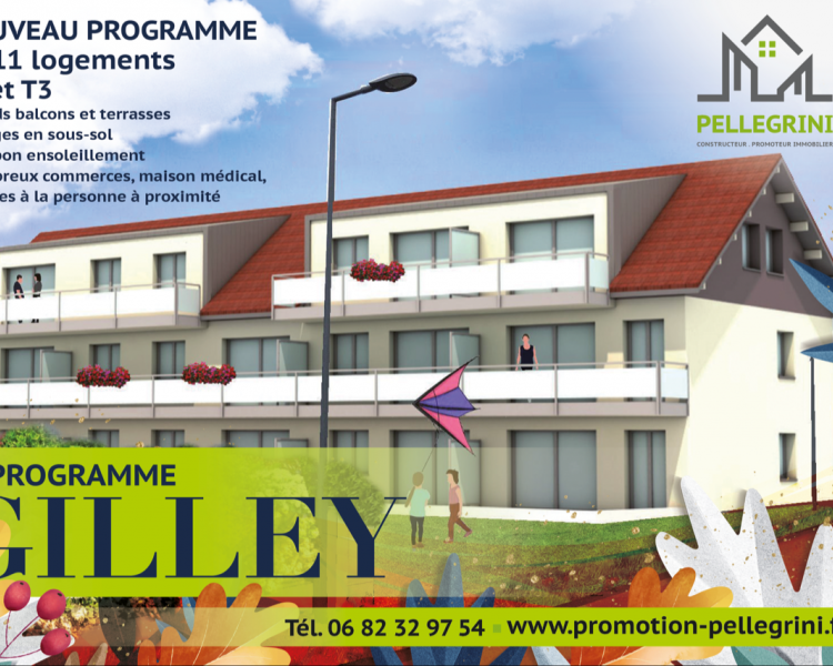 COLLECTIF GILLEY 11 LOGEMENTS