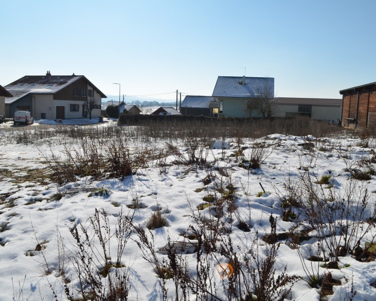 COLLECTIF GILLEY 11 LOGEMENTS